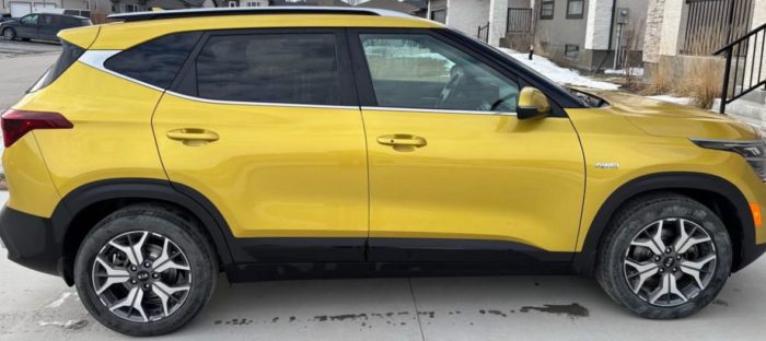 2021 Kia Seltos EX Premium - Image 6